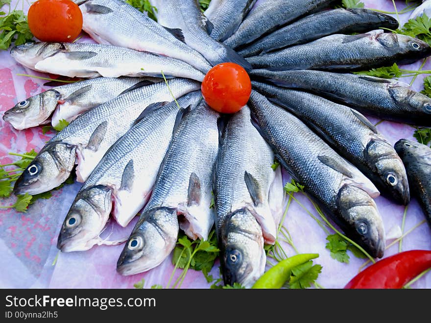 Fresh sea bass fish with tomatos close up. Fresh sea bass fish with tomatos close up