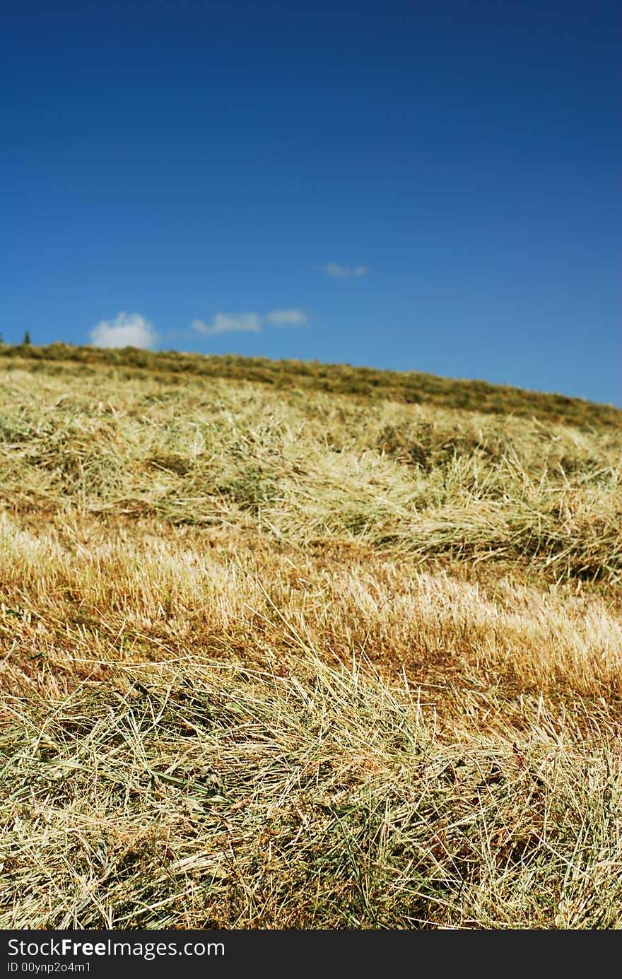 Hay Over The Hillside