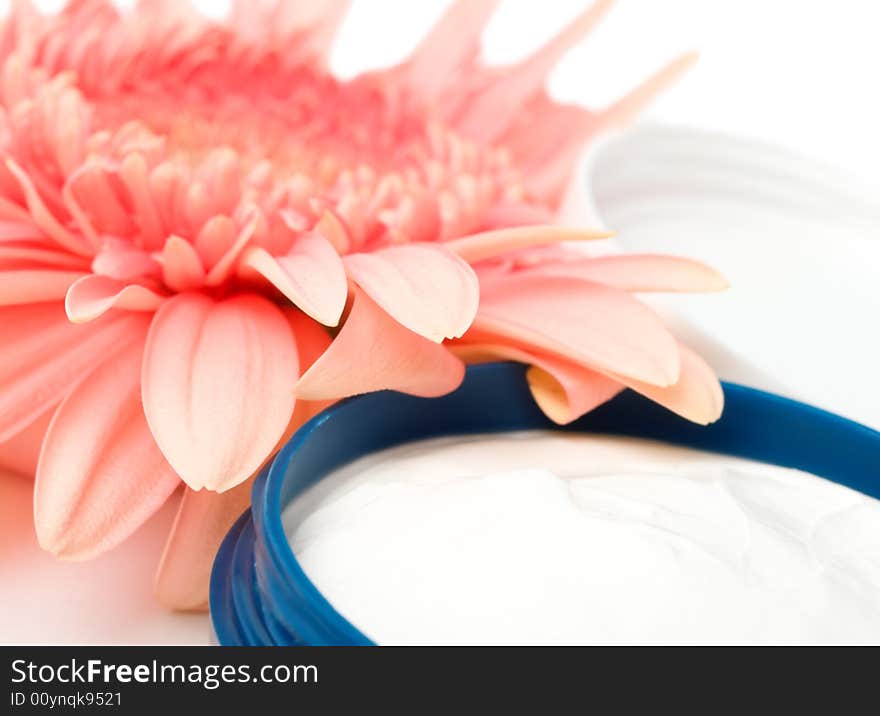 Moisturizing cream with pink gerbera close up