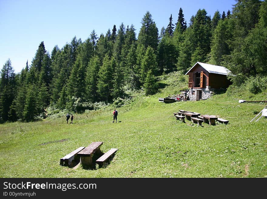 Alpine meadow