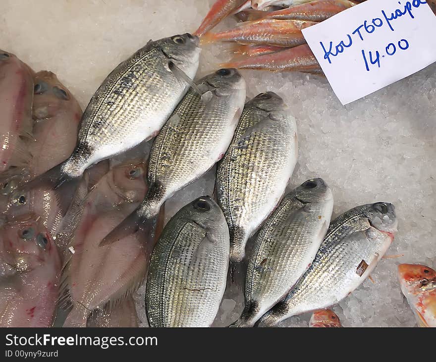 Fish for sale at fish market with greek price tab.