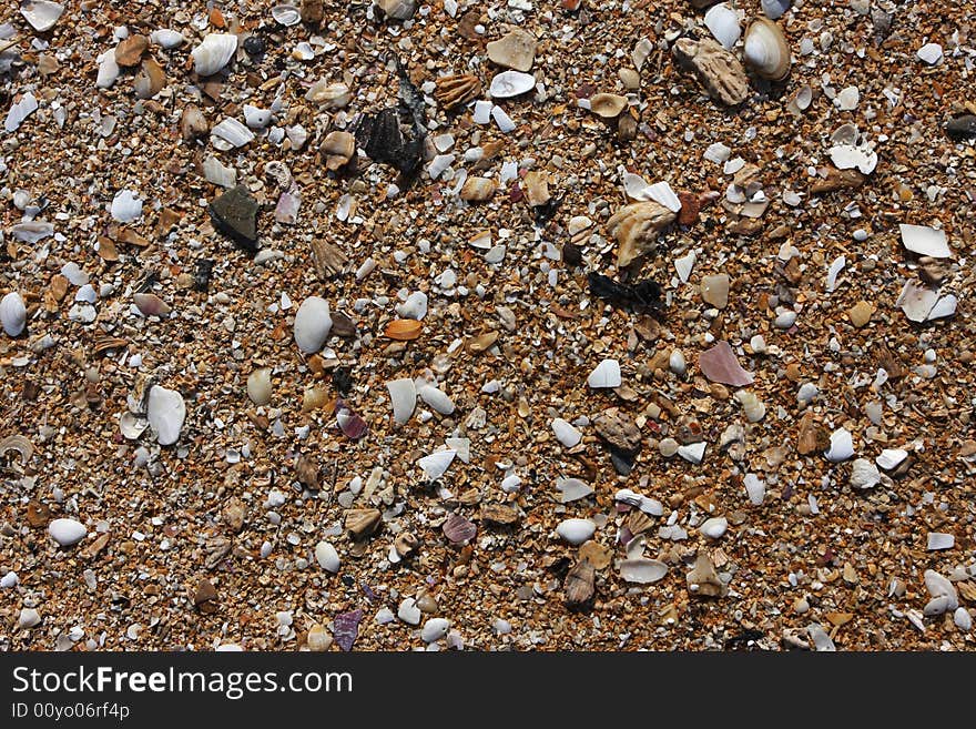 Shell sand on the beach with water lines, great detail and texture. Shell sand on the beach with water lines, great detail and texture