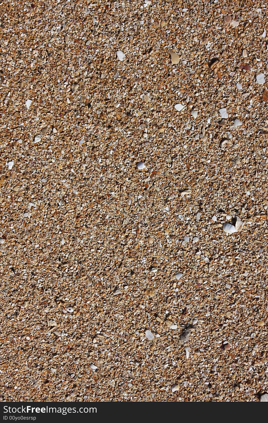 Shell sand on the beach with water lines, great detail and texture. Shell sand on the beach with water lines, great detail and texture