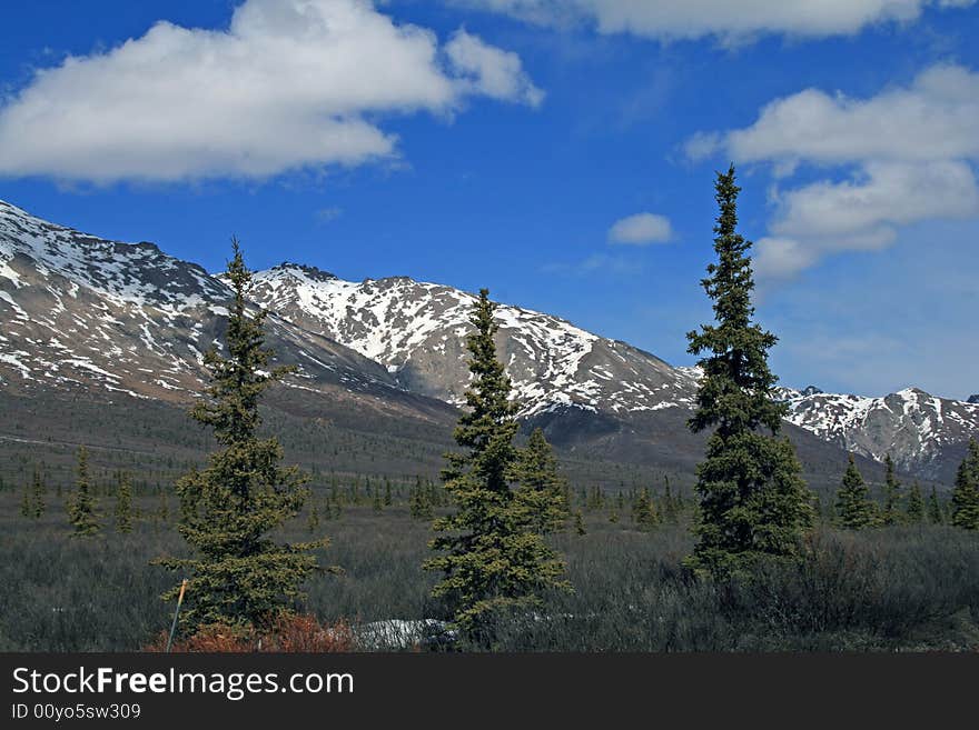 Denali National Park