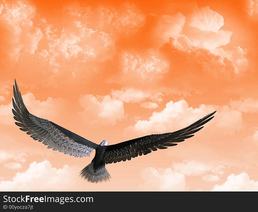 An eagle flight against a sky with white clouds. An eagle flight against a sky with white clouds