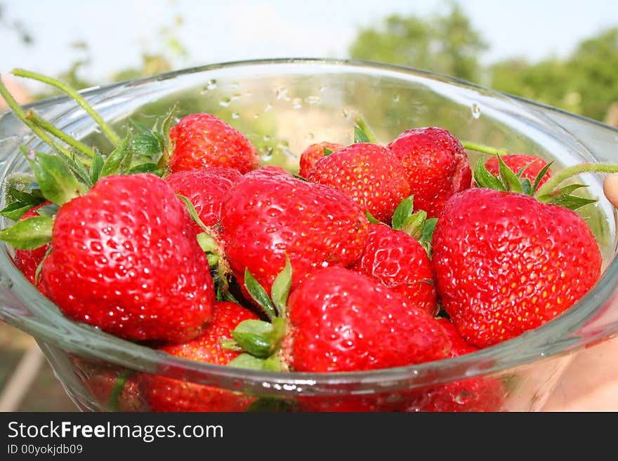 Fresh strawberry to glasswares on a green background