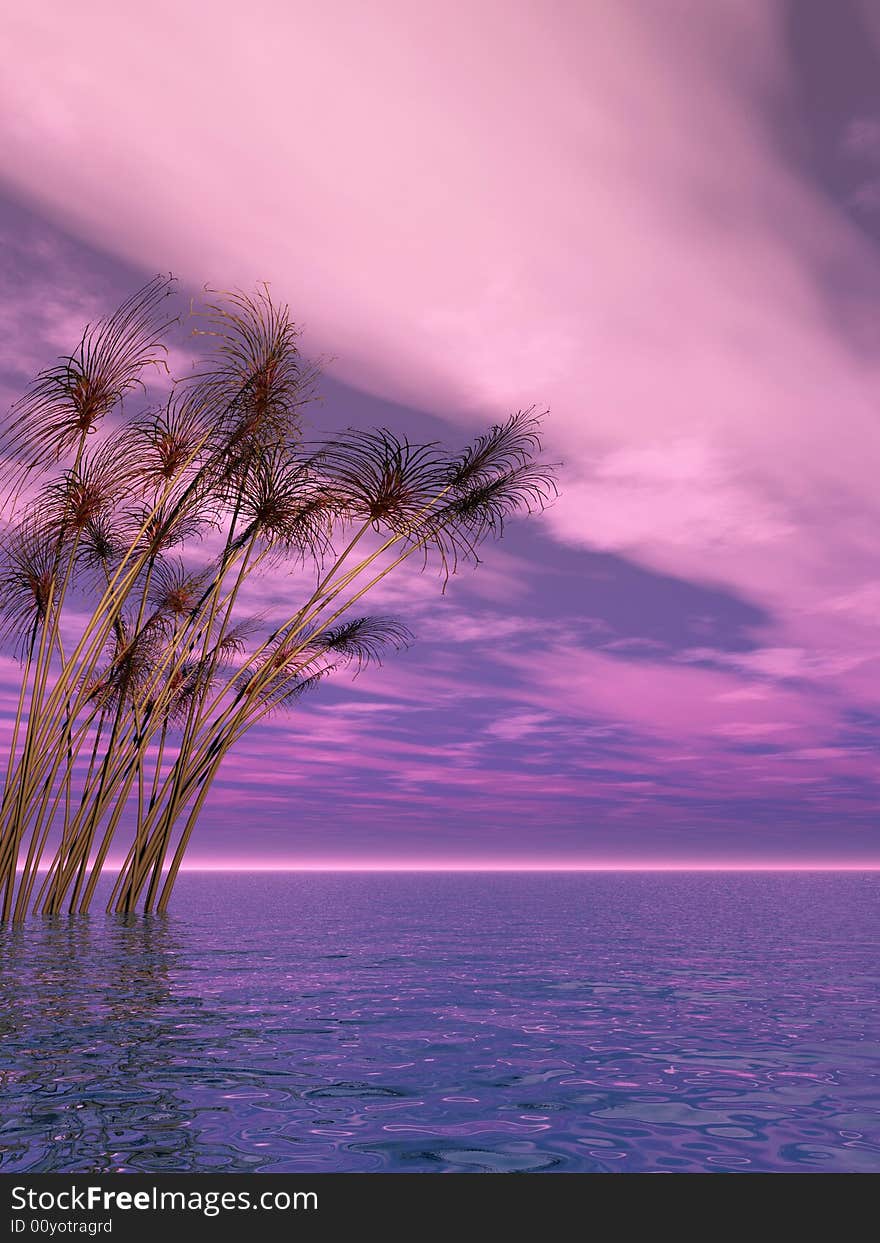 Water plants on a sea sunset background - 3D scene. Water plants on a sea sunset background - 3D scene.