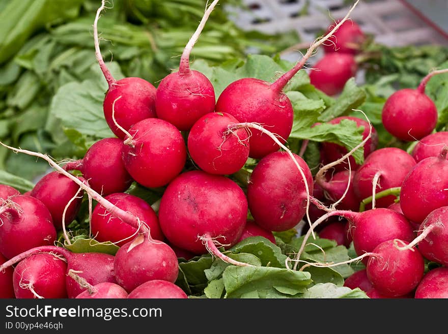 Food series: freshly grown red radish on market