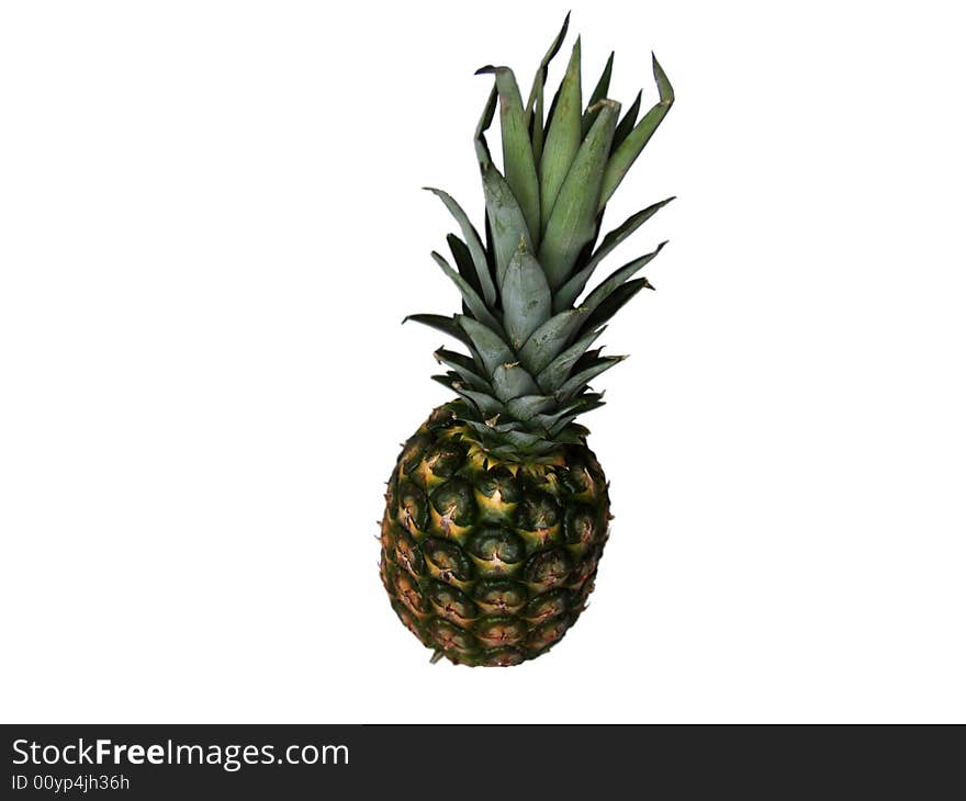 Pineapple in the white background