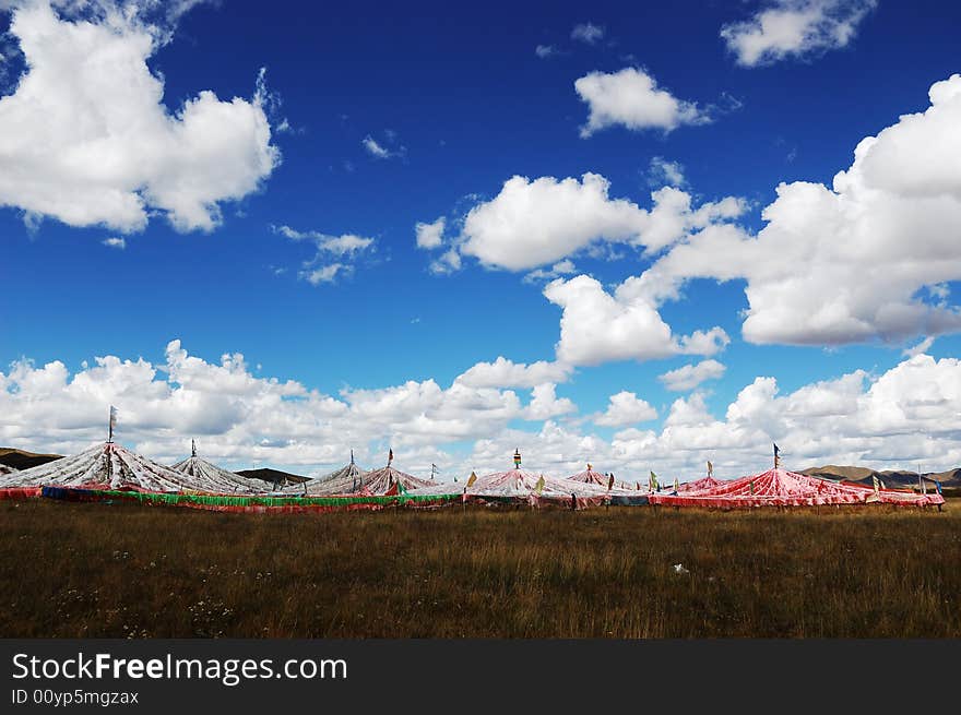 Tibet Flags On The Field