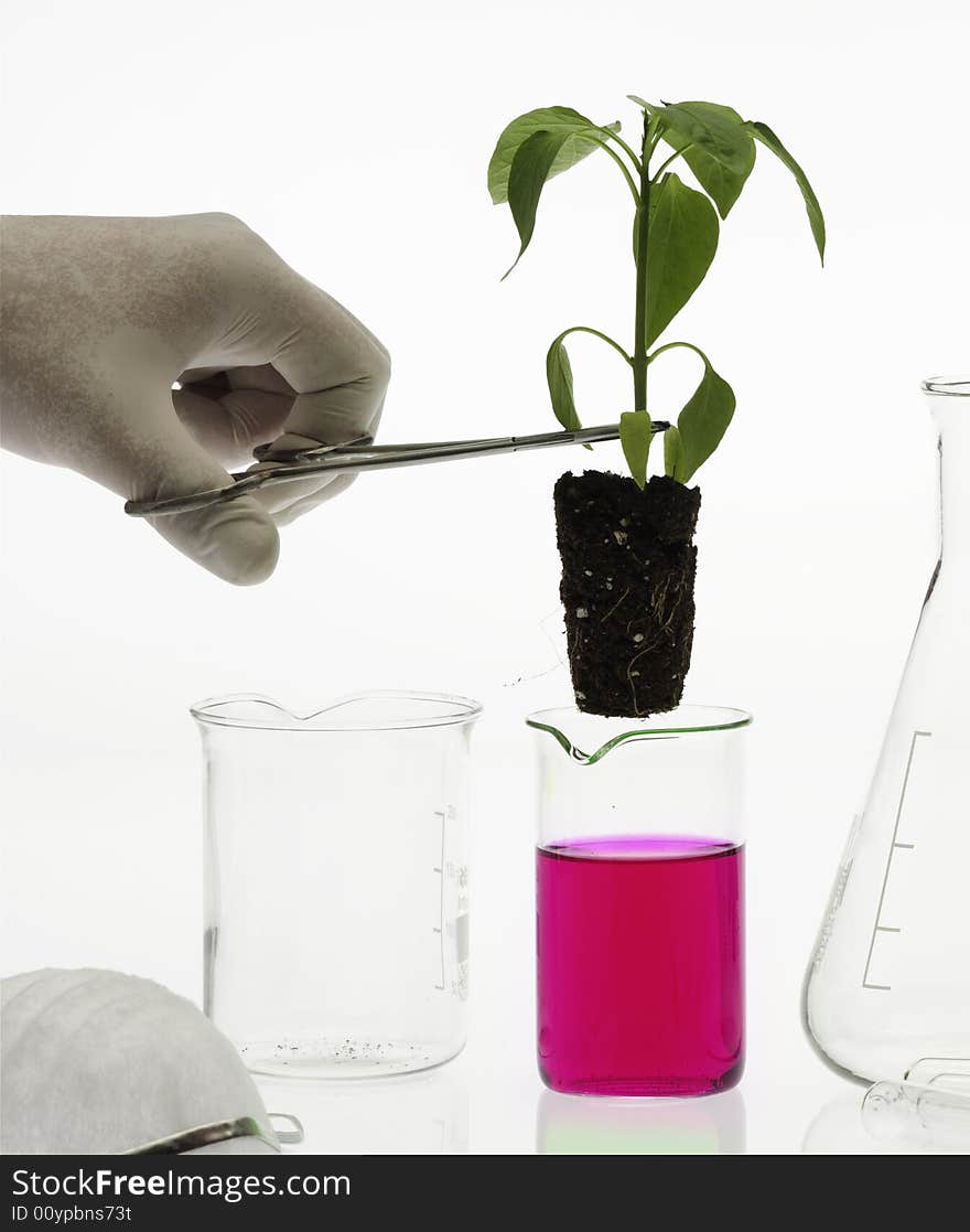 Biotechnology concept