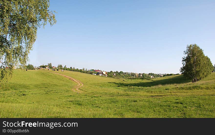 Summer panorama. Sunny warm morning in a Village, Russia, Sartakovo. Summer panorama. Sunny warm morning in a Village, Russia, Sartakovo.