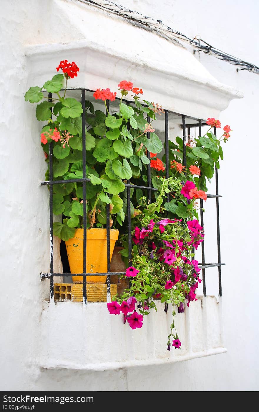 Red pot-flowers in window, Spain. Red pot-flowers in window, Spain