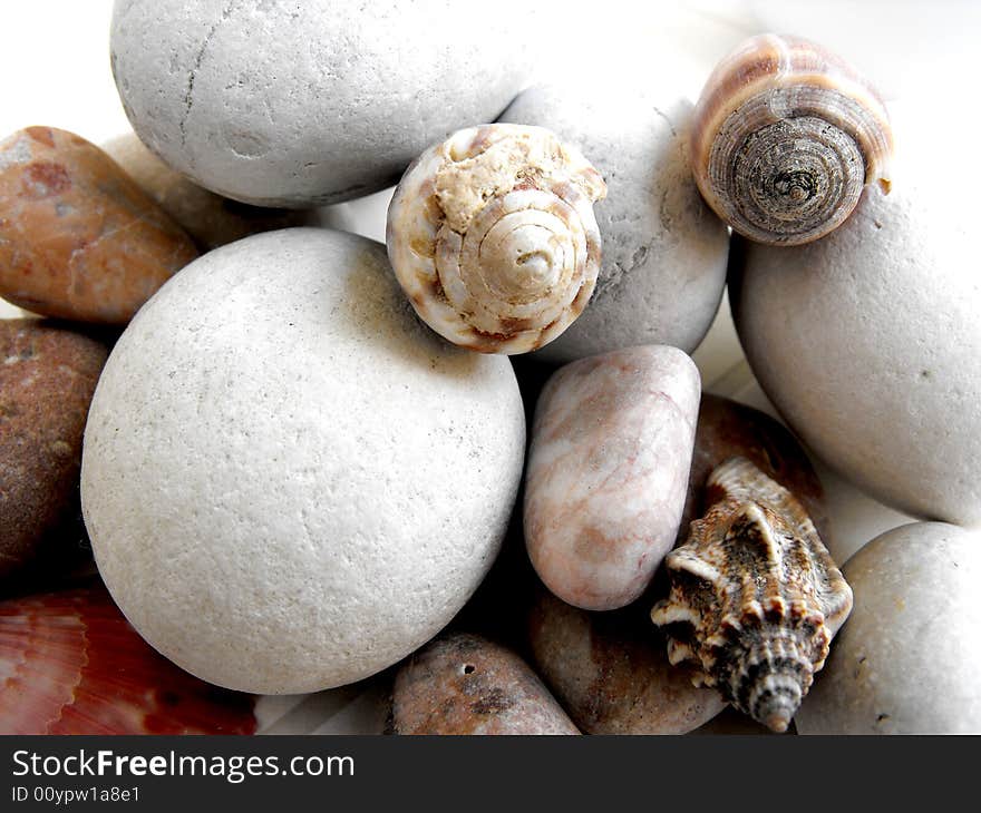 Seashells and stones