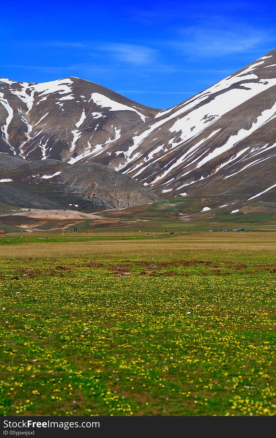 Plateau Landscape