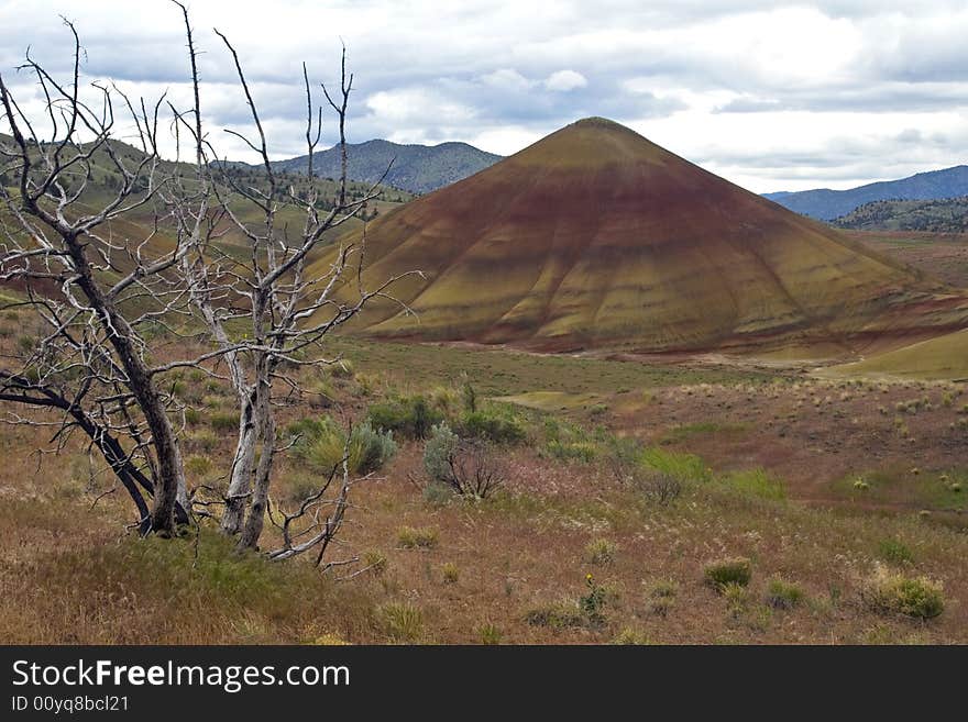 Mount Fuji's cousin in the Painted Hills of Oregon. Mount Fuji's cousin in the Painted Hills of Oregon