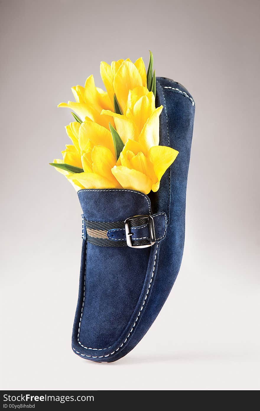 Yellow flowers stuffed in a blue leather shoe.