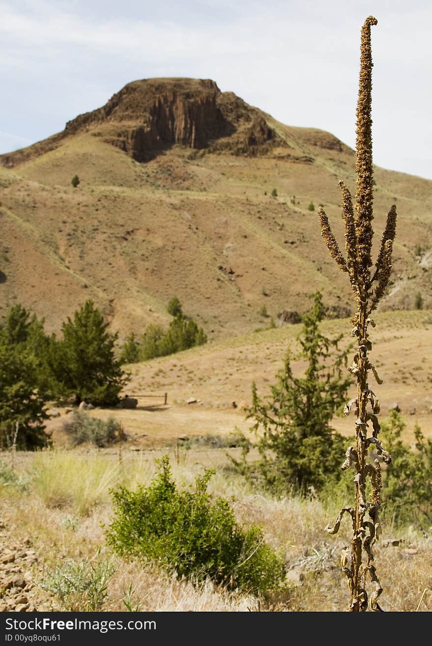 A typical high desert scene in Eastern Oregon. A typical high desert scene in Eastern Oregon