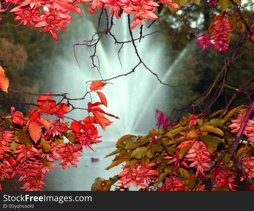 Lake in park in Celle Germany. Lake in park in Celle Germany