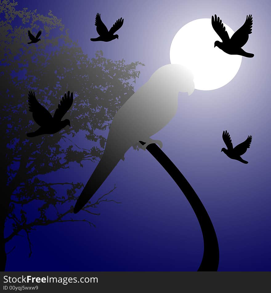 Night scene with birds, vector illustration