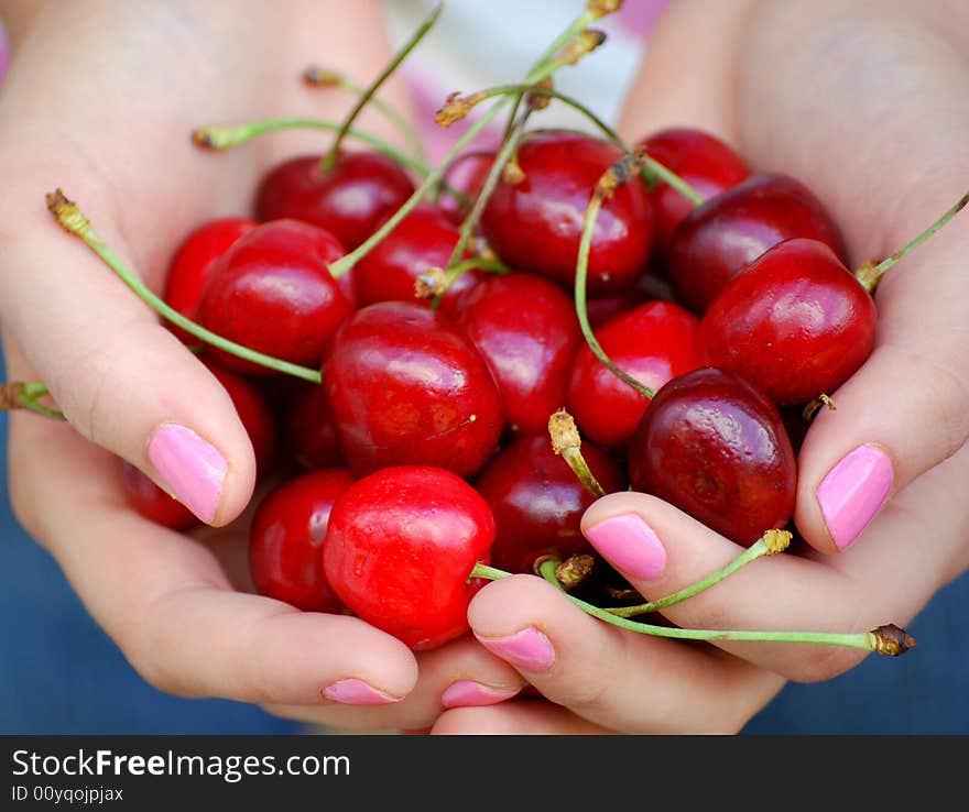 Hands holding cherries