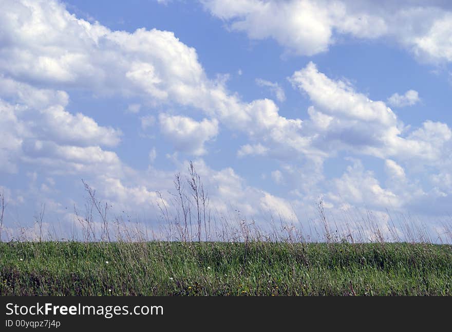 Central Russian of summer landscape