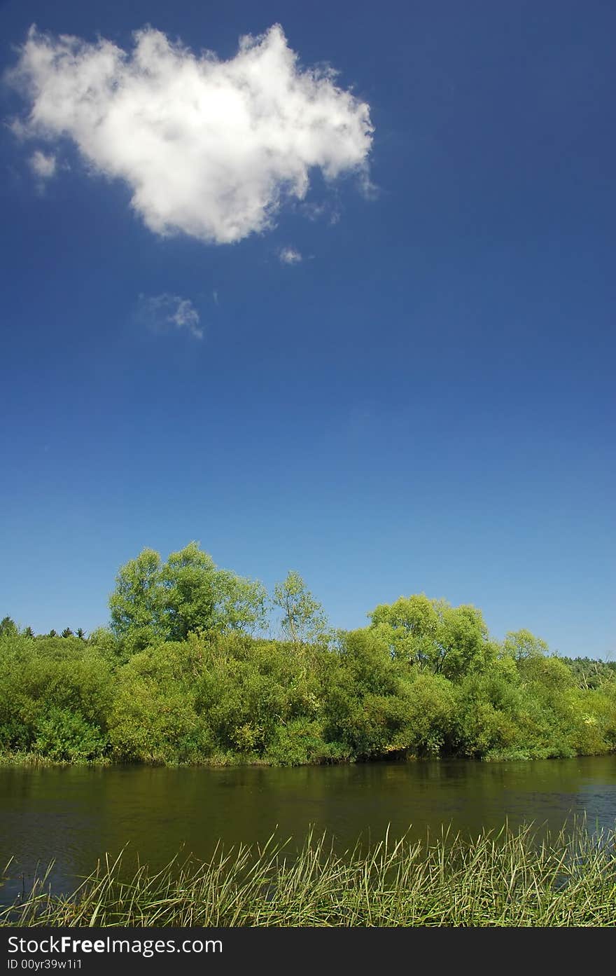 Green trees on blue sky background. Green trees on blue sky background