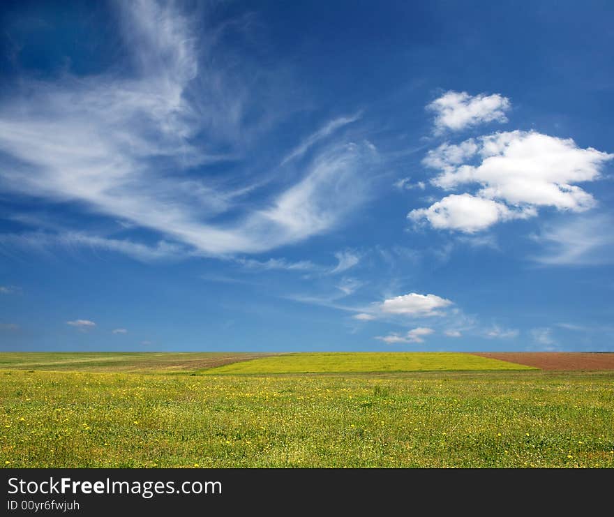 Blue sky over a green field on a summer day. Blue sky over a green field on a summer day