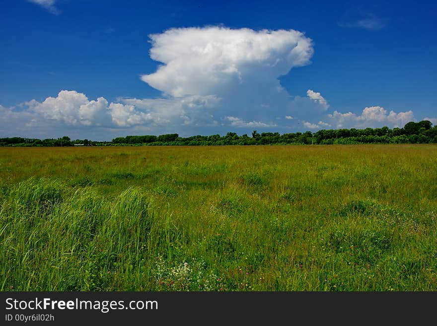 Green grassland and stormy cloud