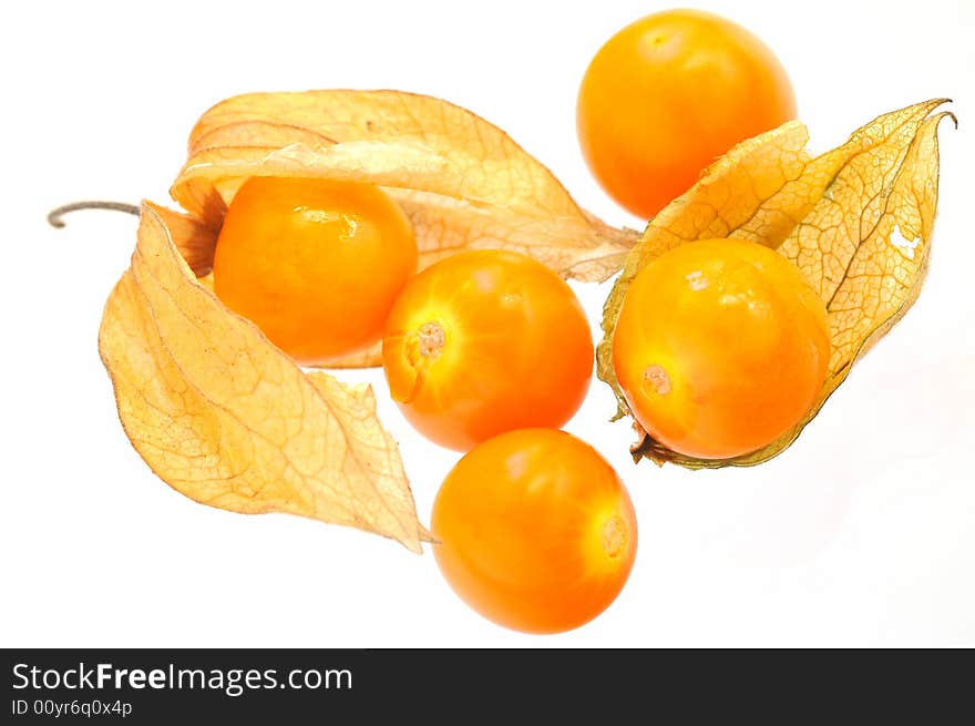 Physalis on the white background, isolated