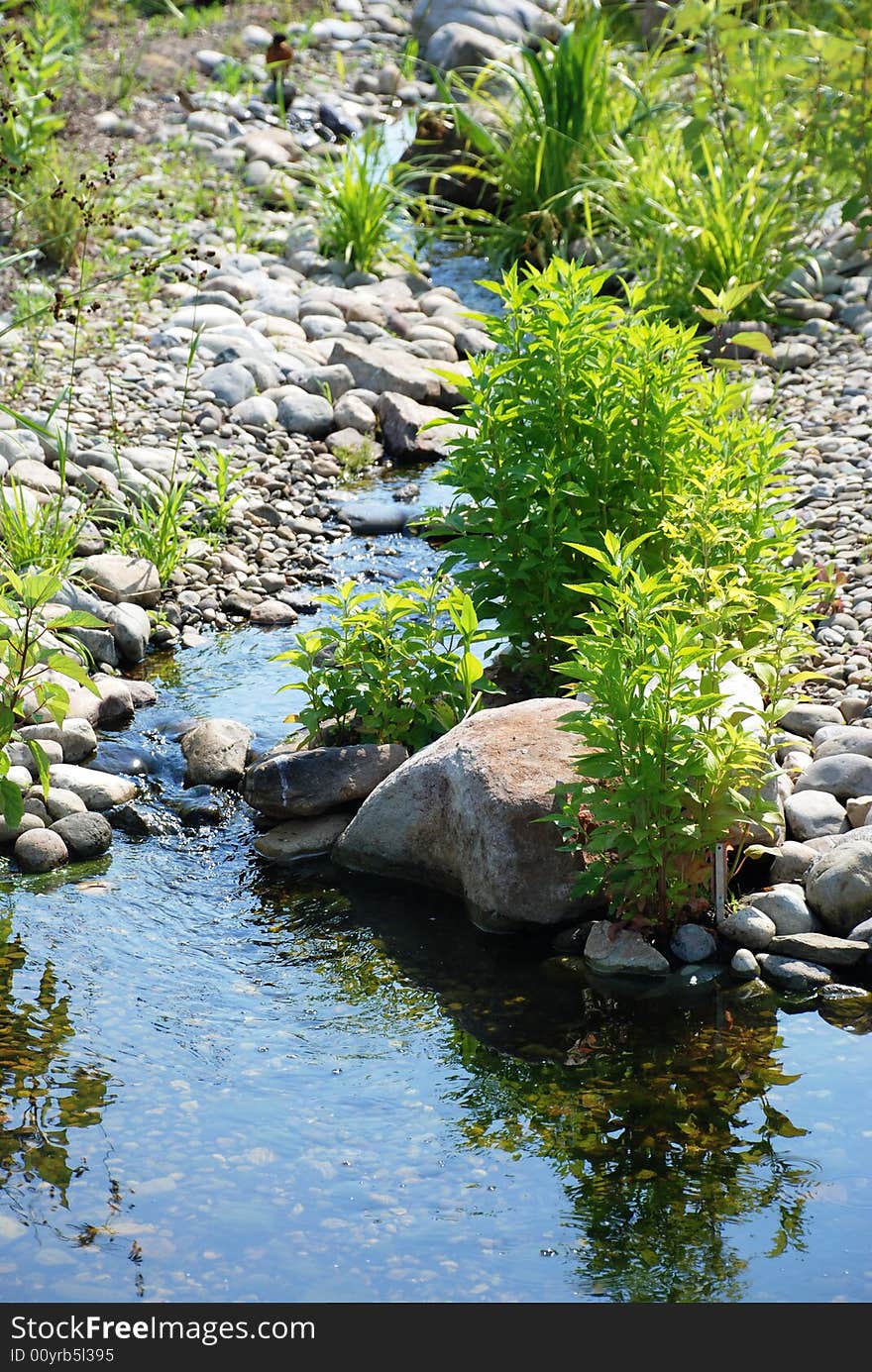 Streamlet Among Stones.