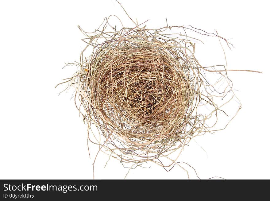 Empty Nest