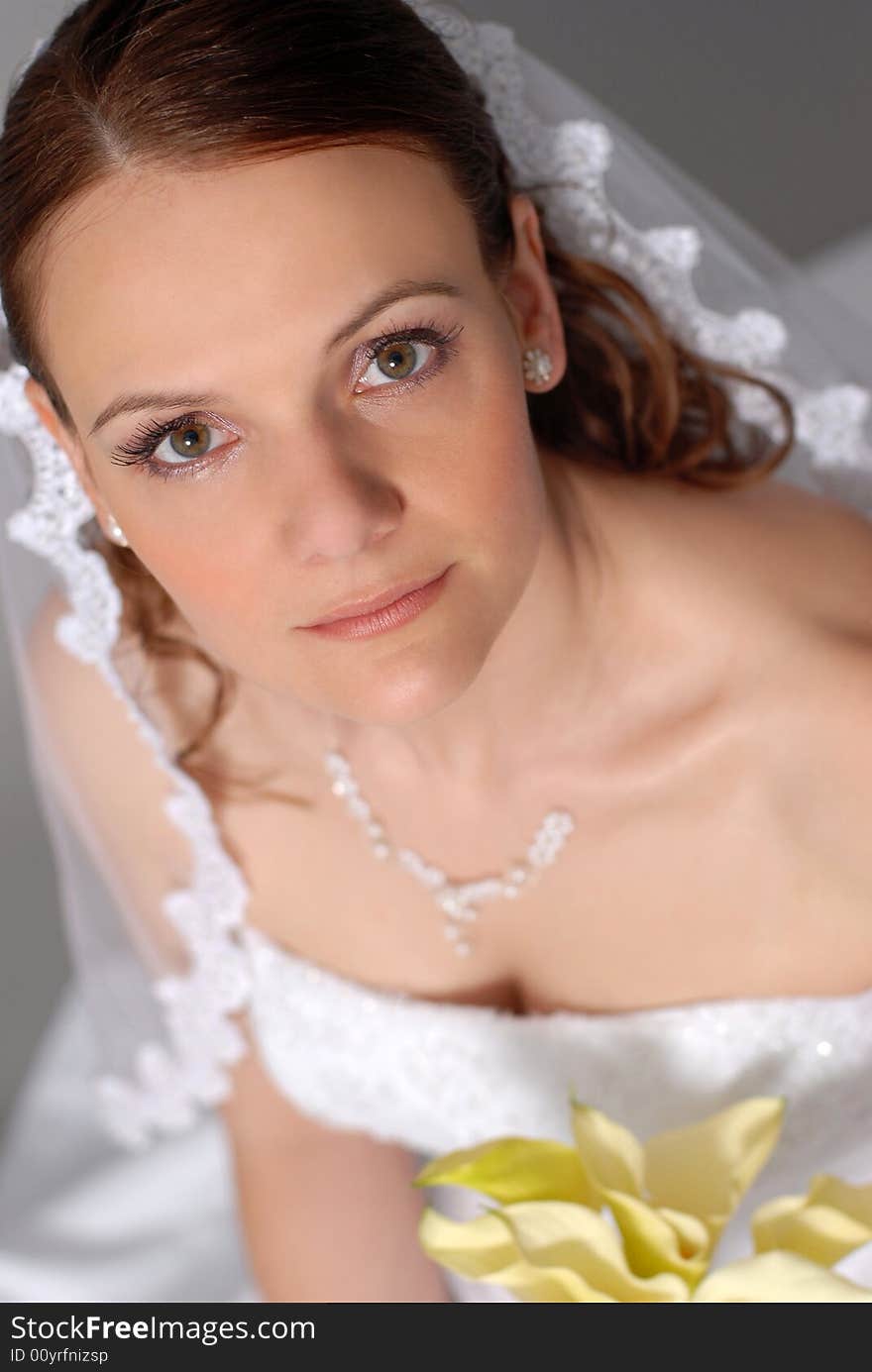 Beautiful young bride looks at the camera and smiles. Beautiful young bride looks at the camera and smiles