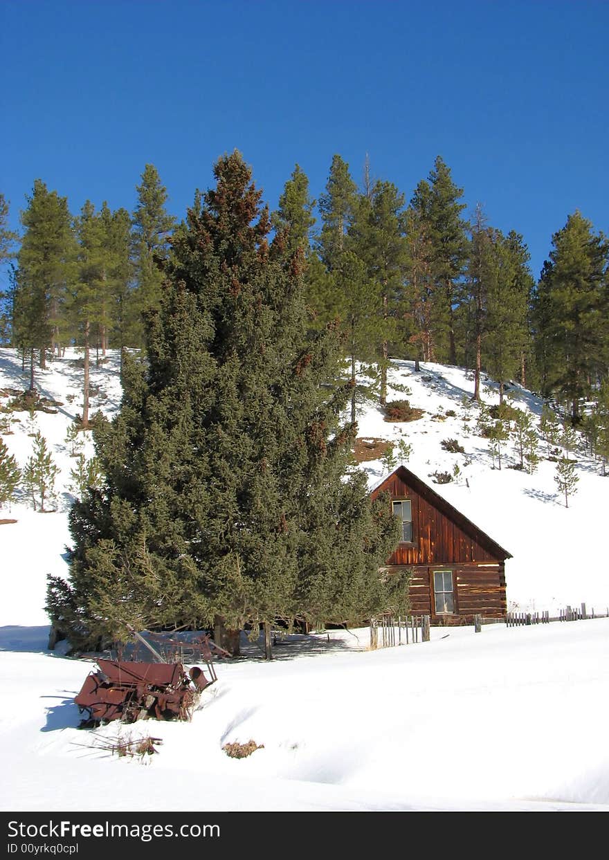 Taken In The Black Hills Of South Dakota. Taken In The Black Hills Of South Dakota