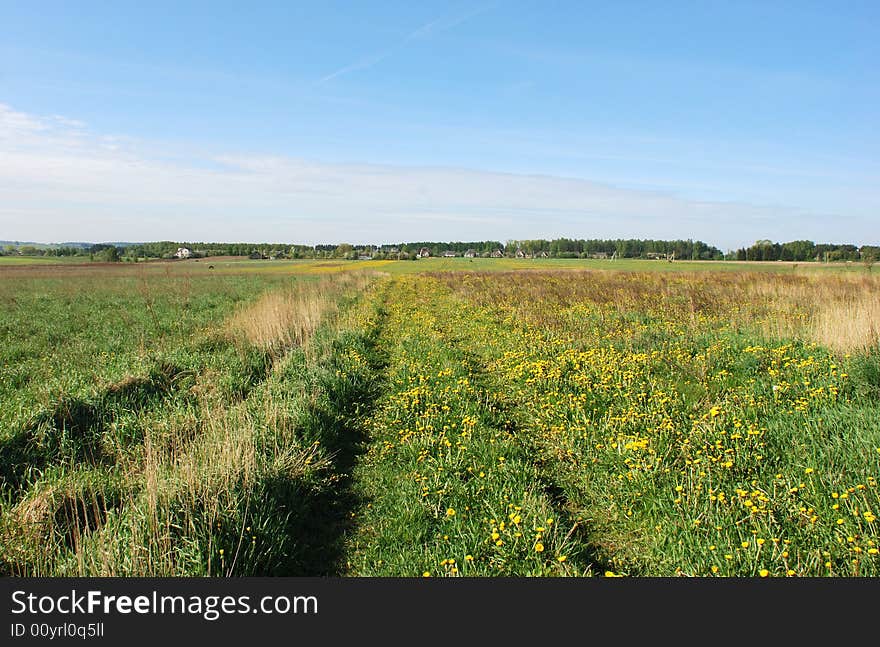 The Field Road