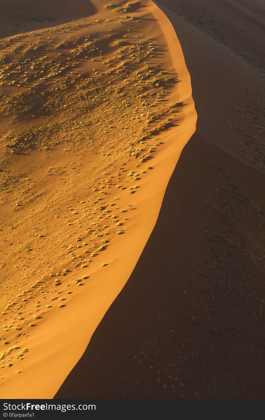 A sand dune in the desert, Namibia, Africa