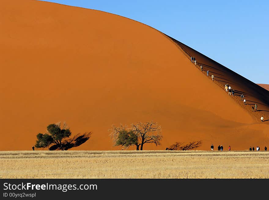 A sand dune in the desert, Namibia, Africa. A sand dune in the desert, Namibia, Africa