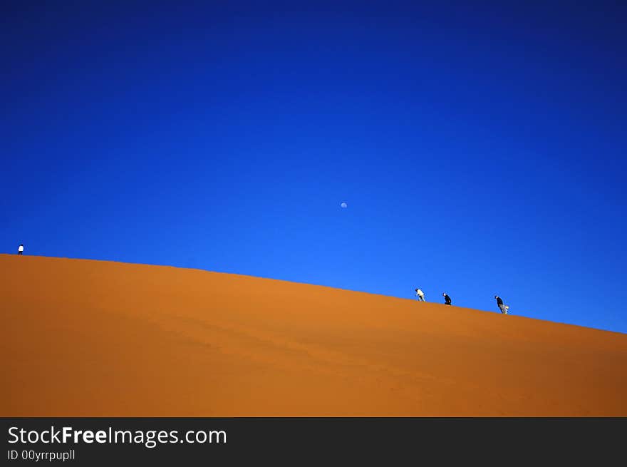 A sand dune in the desert, Namibia, Africa