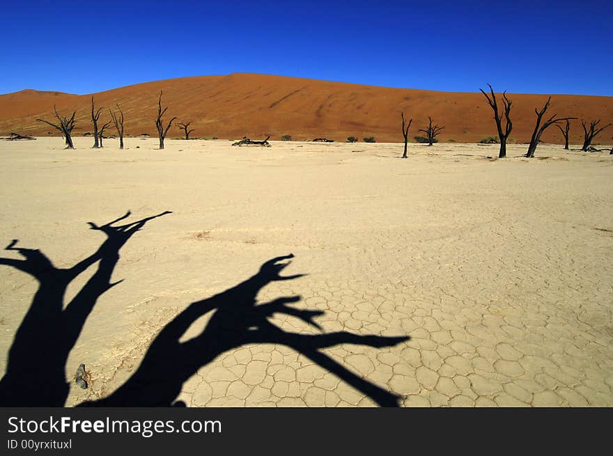 A sand dune in the desert, Namibia, Africa