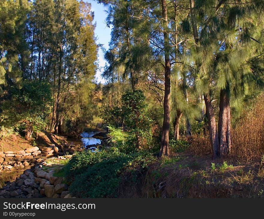 This the landscape version of the photo of the loca creek. This the landscape version of the photo of the loca creek