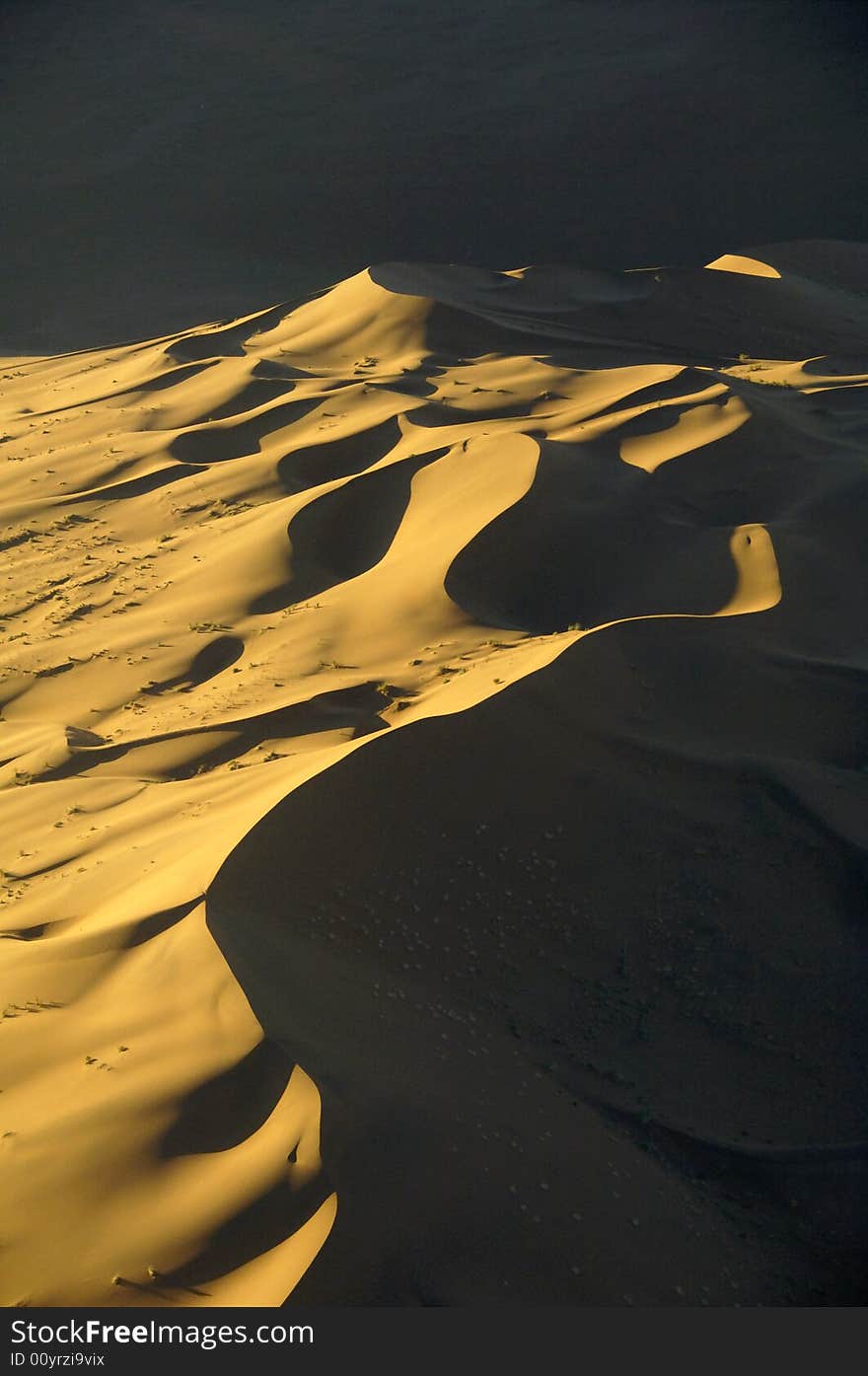 A sand dune in the desert, Namibia, Africa