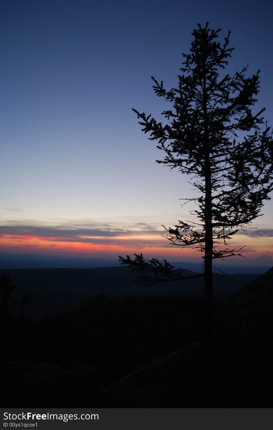 Sundown & tree in mountains, valley, landscape