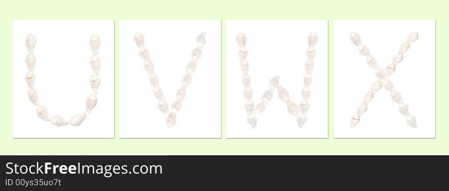 Seashell letters on white background, letter U,V,W,X. Seashell letters on white background, letter U,V,W,X