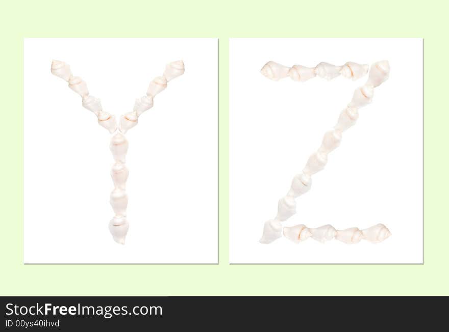 Seashell letters on white background, letter Y,Z. Seashell letters on white background, letter Y,Z