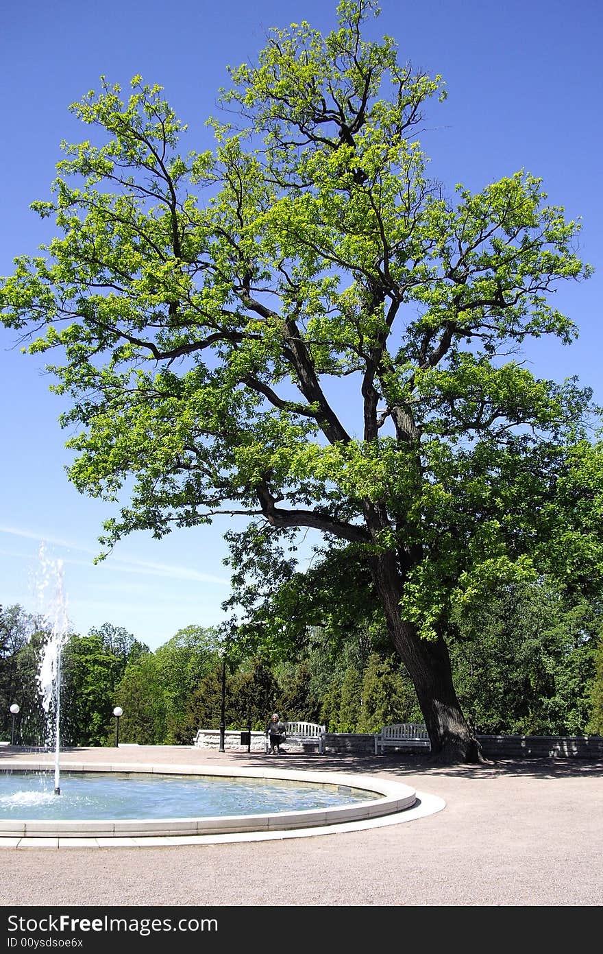 Fountain in Kadrioru park