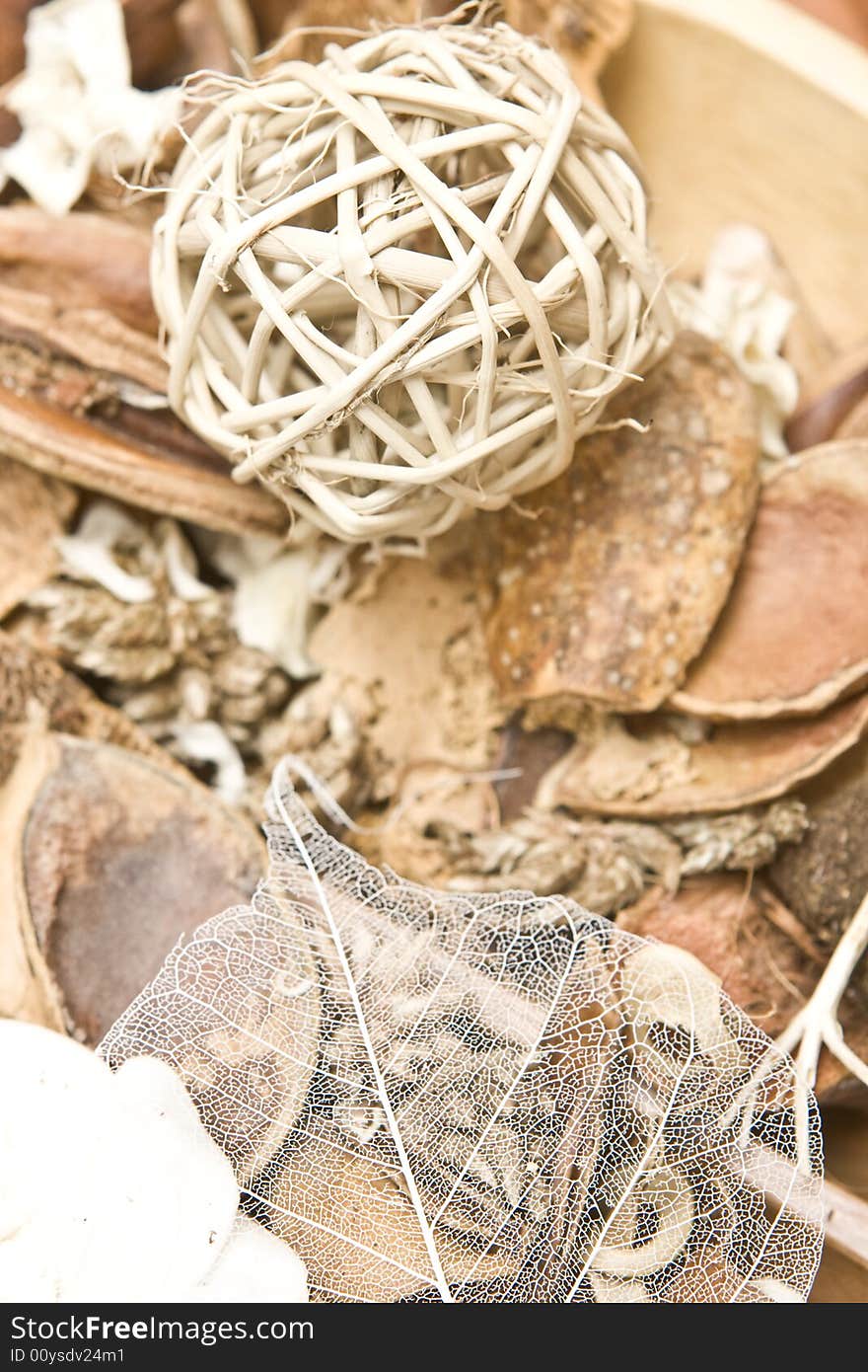 Potpourri still life in shades of brown