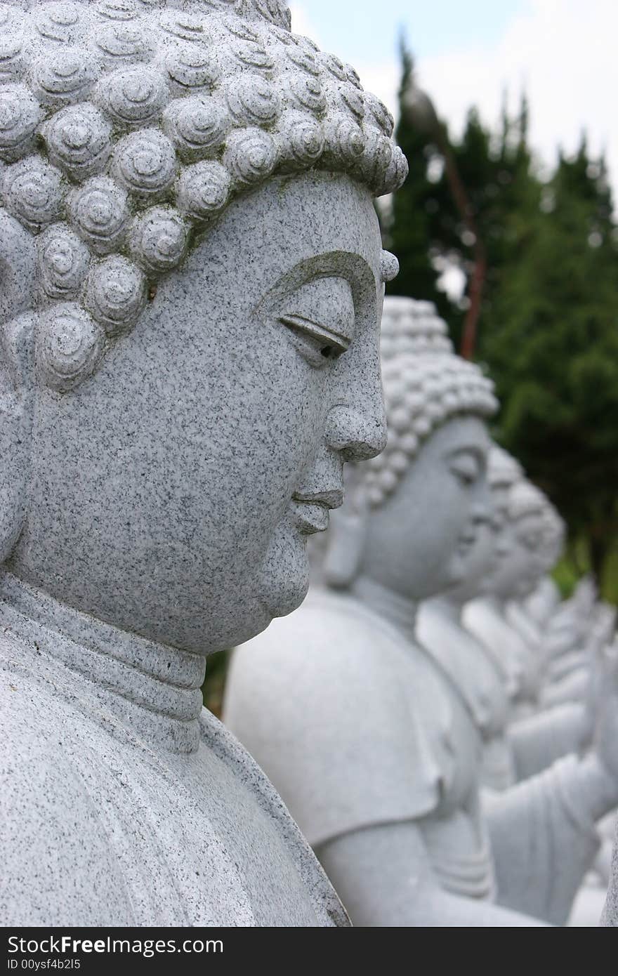 White Buddha statues, standing in a line.