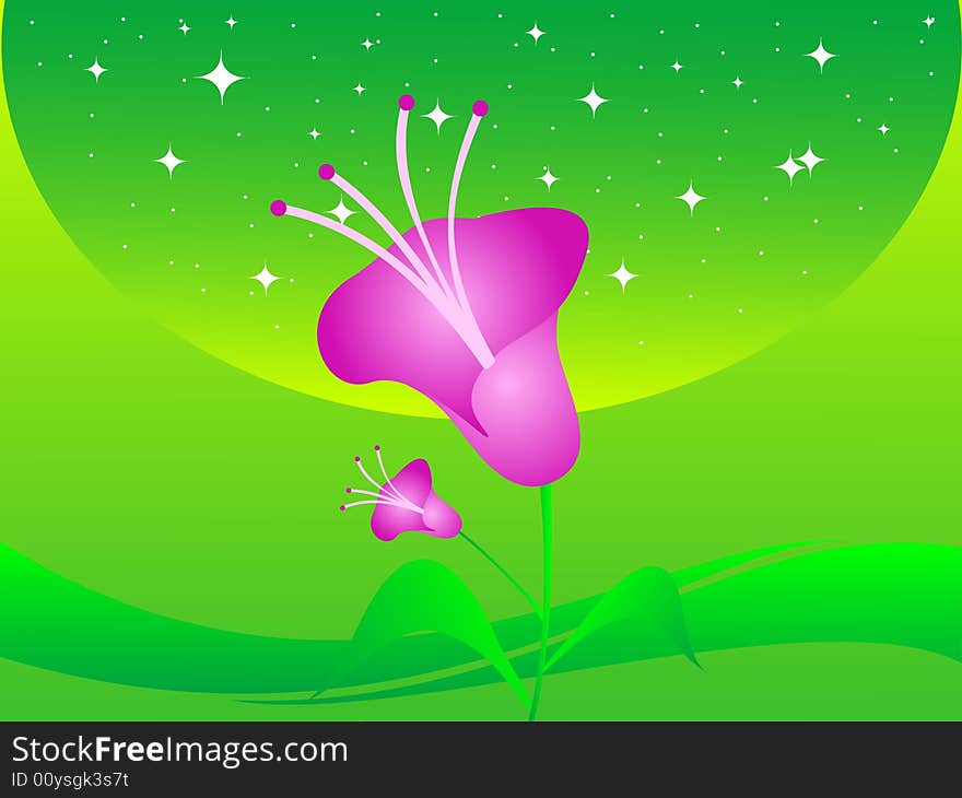 Flowers on stary and curvy background