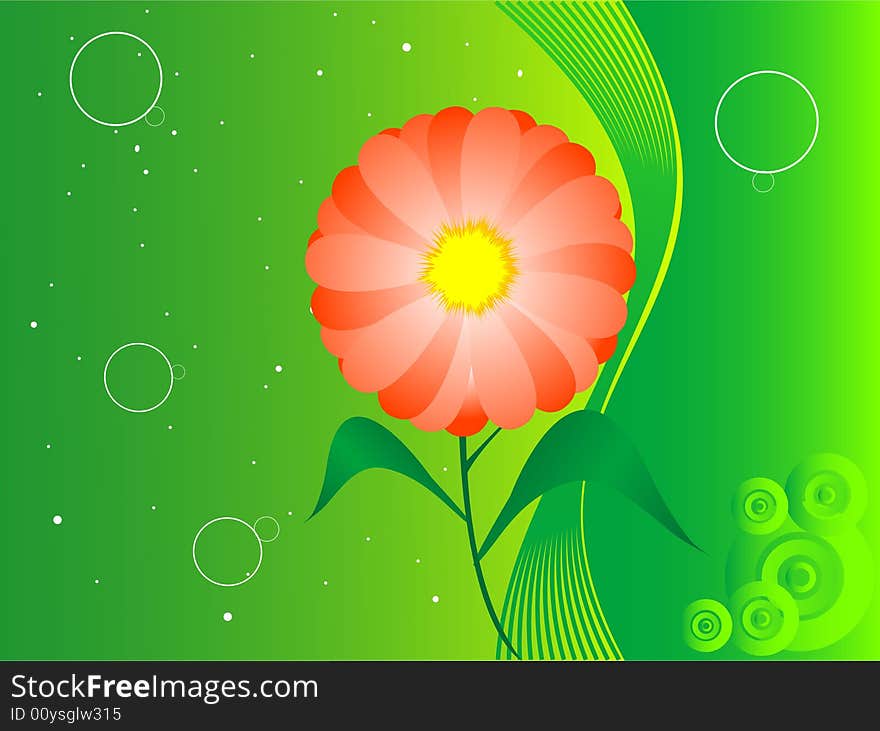 Flower and leaves on gradient background