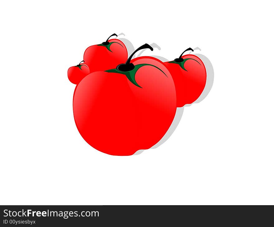 the tomato's on isolated background. the tomato's on isolated background